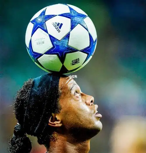 距输给了芝 距输给了芝